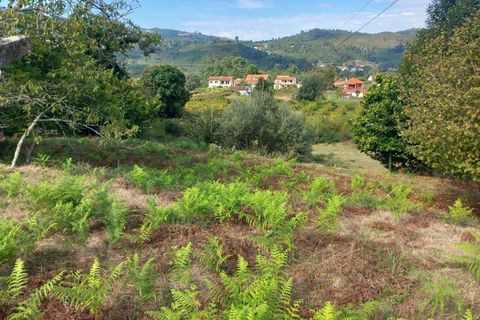 Landejendom i Segude, Viana do Castelo, Segude - € 120.000 | Ref: MNC1400CPR - foto 9
