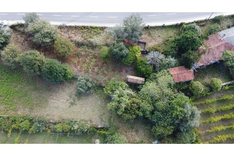 Landejendom i Segude, Viana do Castelo, Segude - € 120.000 | Ref: MNC1400CPR - foto 14