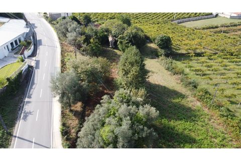 Landejendom i Segude, Viana do Castelo, Segude - € 120.000 | Ref: MNC1400CPR - foto 15