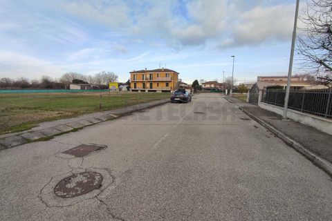 Terra a Albaredo d'Adige, Verona, Albaredo d'Adige - € 55.000 | Ref: BBA02 - foto 2