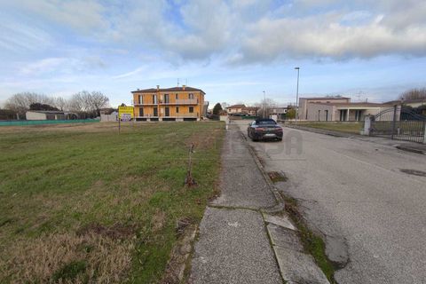 Terra a Albaredo d'Adige, Verona, Albaredo d'Adige - € 55.000 | Ref: BBA02 - foto 3
