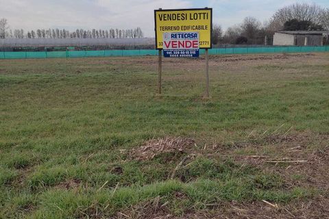 Terra a Albaredo d'Adige, Verona, Albaredo d'Adige - € 55.000 | Ref: BBA02 - foto 4