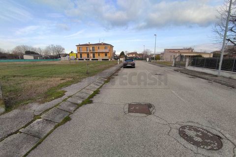 Terra a Albaredo d'Adige, Verona, Albaredo d'Adige - € 55.000 | Ref: BBA02 - foto 5