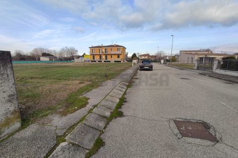 Terra a Albaredo d'Adige, Verona, Albaredo d'Adige - € 55.000 | Ref: BBA02 - foto 6