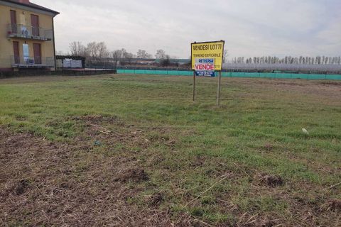 Terra a Albaredo d'Adige, Verona, Albaredo d'Adige - € 55.000 | Ref: BBA02 - foto 7