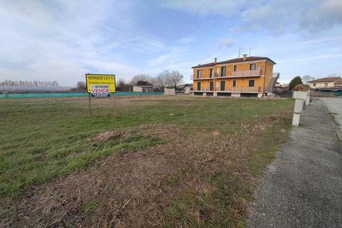 Terra a Albaredo d'Adige, Verona, Albaredo d'Adige - € 55.000 | Ref: BBA02 - foto 8