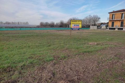 Terra a Albaredo d'Adige, Verona, Albaredo d'Adige - € 55.000 | Ref: BBA02 - foto 9