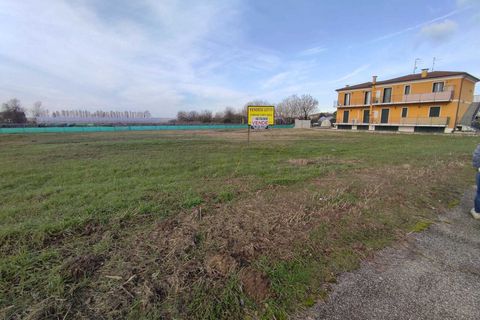 Terra a Albaredo d'Adige, Verona, Albaredo d'Adige - € 55.000 | Ref: BBA02 - foto 10