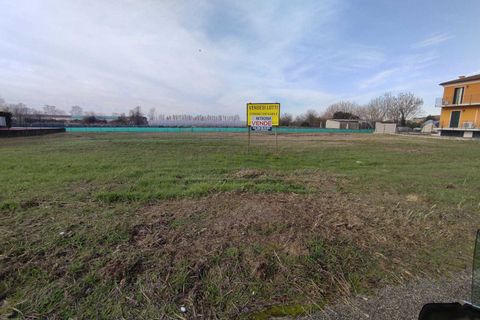 Terra a Albaredo d'Adige, Verona, Albaredo d'Adige - € 55.000 | Ref: BBA02 - foto 11