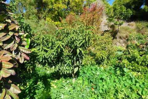 Landejendom i Nerja, Malaga, Nerja - € 1.250.000 | Ref: DG1972 - foto 19