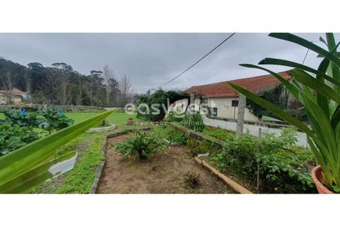 Villa i Vila Nova de Gaia, Porto, Vila Nova de Gaia - € 375.000 | Ref: EA94641 - foto 6