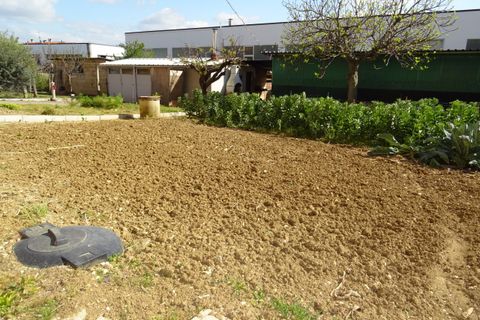 Leilighet i Trecastelli, Ancona, Trecastelli - € 120 000 | Ref: AA050 - foto 19