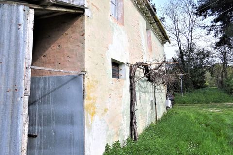 Villa i Corinaldo, Ancona, Corinaldo - € 100.000 | Ref: AN061 - foto 5