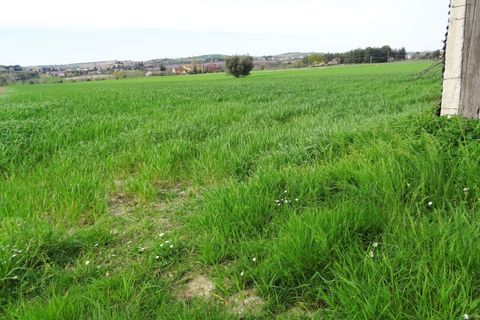 Villa i Corinaldo, Ancona, Corinaldo - € 100.000 | Ref: AN061 - foto 6