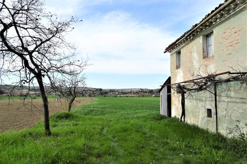 Villa i Corinaldo, Ancona, Corinaldo - € 100.000 | Ref: AN061 - foto 7