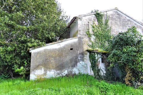 Villa i Corinaldo, Ancona, Corinaldo - € 100.000 | Ref: AN061 - foto 8