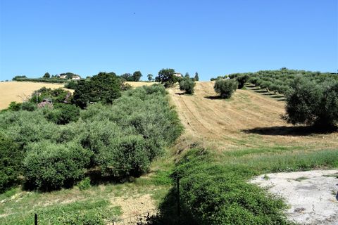 Leilighet i Trecastelli, Ancona, Trecastelli - € 170 000 | Ref: AA063 - foto 11