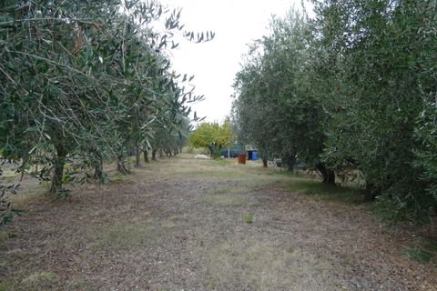 Villa a Senigallia, Ancona, Senigallia - € 390.000 | Ref: AA066 - foto 23
