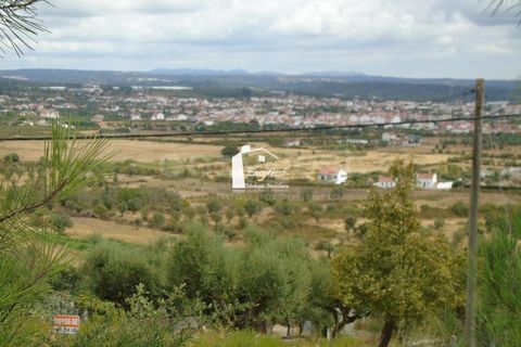 Tomt i Abrantes, Santarem, Abrantes - € 89 000 | Ref: TM86161 - foto 2