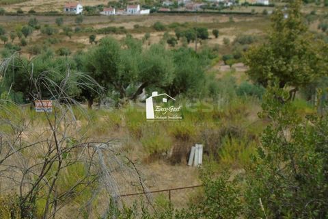 Tomt i Abrantes, Santarem, Abrantes - € 89 000 | Ref: TM86161 - foto 4
