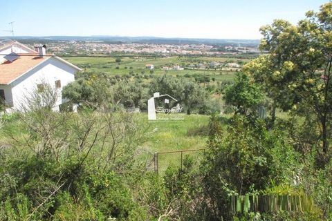 Tomt i Abrantes, Santarem, Abrantes - € 89 000 | Ref: TM86161 - foto 7