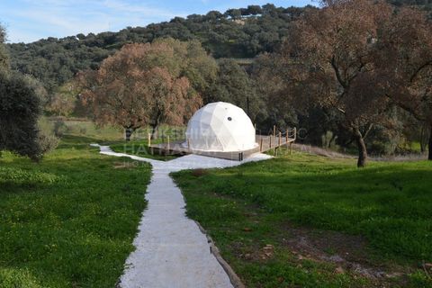 Landejendom i Borba, Evora, Borba - € 3.130.000 | Ref: 00134 - foto 27