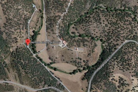 Landejendom i Borba, Evora, Borba - € 3.130.000 | Ref: 00134 - foto 30