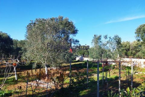 Villa i Carovigno, Brindisi, Carovigno - € 260.000 | Ref: 122646 - foto 11