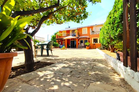 Reihenhaus in Palma De Mallorca, Mallorca - Foto 1