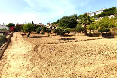 Rækkehus i Palma De Mallorca, Mallorca, Palma De Mallorca - € 1.330.000 | Ref: PALHAB_237 - foto 14