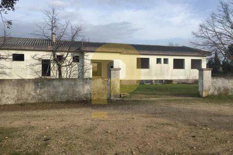 Villa i Abrantes, Santarem, Abrantes - € 1.500.000 | Ref: PB202079 - foto 18