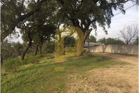 Villa i Abrantes, Santarem, Abrantes - € 1.500.000 | Ref: PB202079 - foto 24