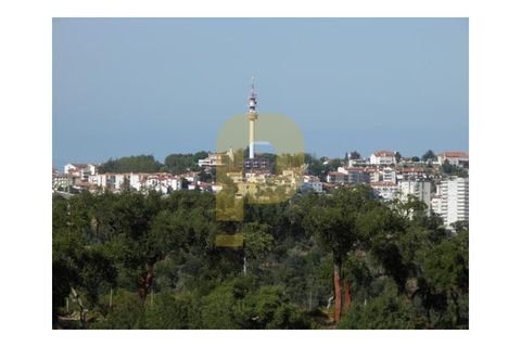 Villa i Abrantes, Santarem, Abrantes - € 1.500.000 | Ref: PB202079 - foto 27