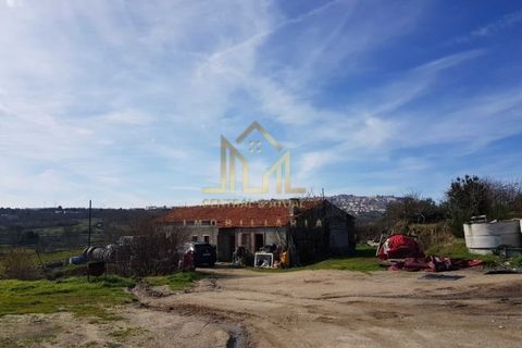 Helårsgrund i Guarda, Guarda, Guarda - € 99.500 | Ref: SÒL_31 - foto 2