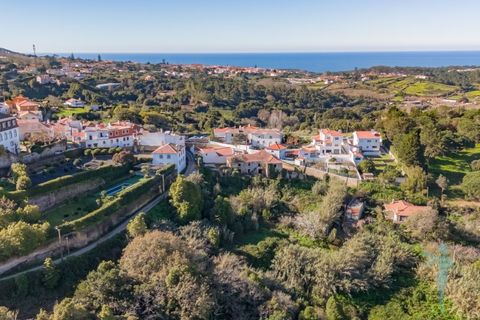 Farm i Almocageme, Lisbon, Almocageme - € 1.250.000 | Ref: MAS_99 - foto 2