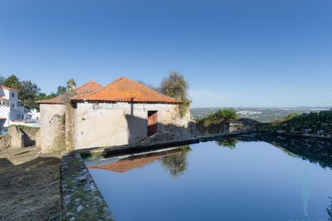 Farm i Almocageme, Lisbon, Almocageme - € 1.250.000 | Ref: MAS_99 - foto 6