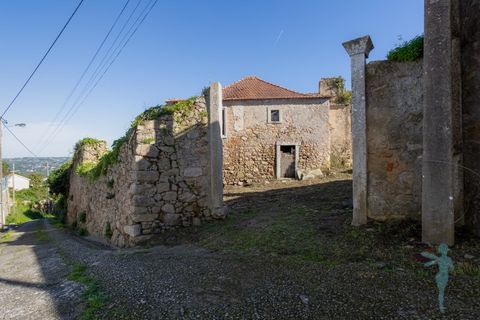 Farm i Almocageme, Lisbon, Almocageme - € 1.250.000 | Ref: MAS_99 - foto 9