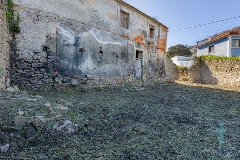 Farm i Almocageme, Lisbon, Almocageme - € 1.250.000 | Ref: MAS_99 - foto 10