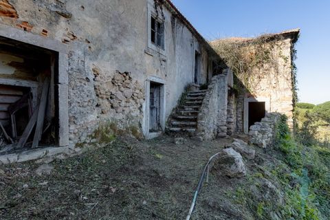 Farm i Almocageme, Lisbon, Almocageme - € 1.250.000 | Ref: MAS_99 - foto 11