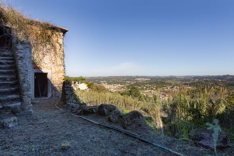 Farm i Almocageme, Lisbon, Almocageme - € 1.250.000 | Ref: MAS_99 - foto 13