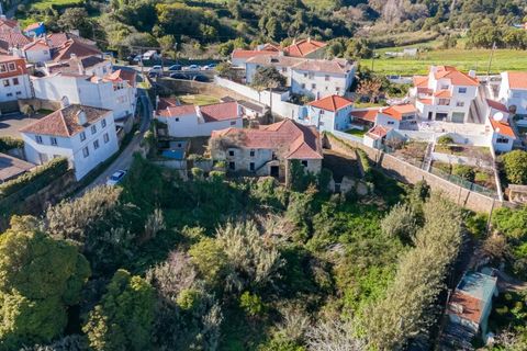 Farm i Almocageme, Lisbon, Almocageme - € 1.250.000 | Ref: MAS_99 - foto 17