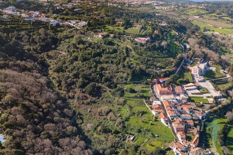 Farm i Almocageme, Lisbon, Almocageme - € 1.250.000 | Ref: MAS_99 - foto 18