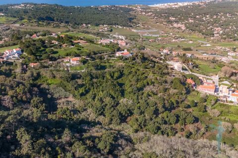 Farm i Almocageme, Lisbon, Almocageme - € 1.250.000 | Ref: MAS_99 - foto 20