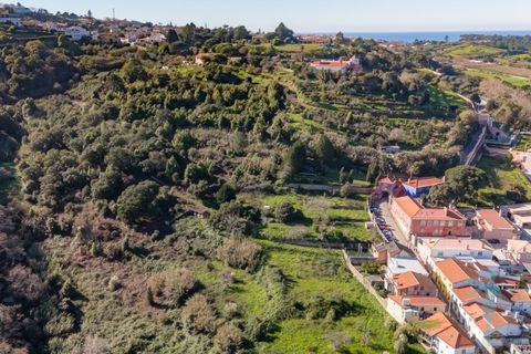 Farm i Almocageme, Lisbon, Almocageme - € 1.250.000 | Ref: MAS_99 - foto 5