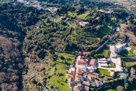Farm i Almocageme, Lisbon, Almocageme - € 1.250.000 | Ref: MAS_99 - foto 21