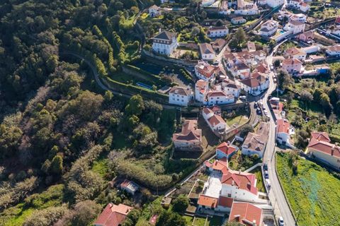 Farm i Almocageme, Lisbon, Almocageme - € 1.250.000 | Ref: MAS_99 - foto 22