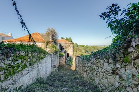Farm i Almocageme, Lisbon, Almocageme - € 1.250.000 | Ref: MAS_99 - foto 27