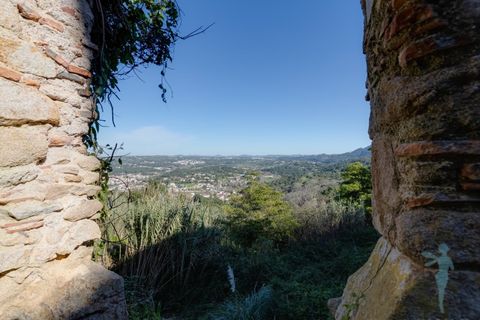 Farm i Almocageme, Lisbon, Almocageme - € 1.250.000 | Ref: MAS_99 - foto 32