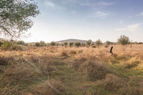 Helårsgrund i Monforte, Portalegre, Monforte - € 35.000 | Ref: M&A00116 - foto 1