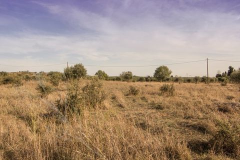 Helårsgrund i Monforte, Portalegre, Monforte - € 35.000 | Ref: M&A00116 - foto 3
